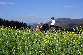 Familienurlaub am Bauernhof, Bayerischer Wald